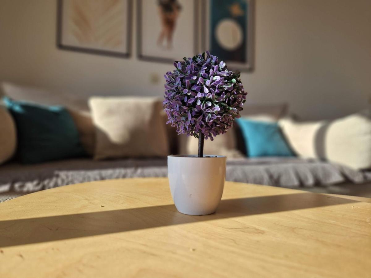 City Apartment Sanja Макарска Екстериор снимка